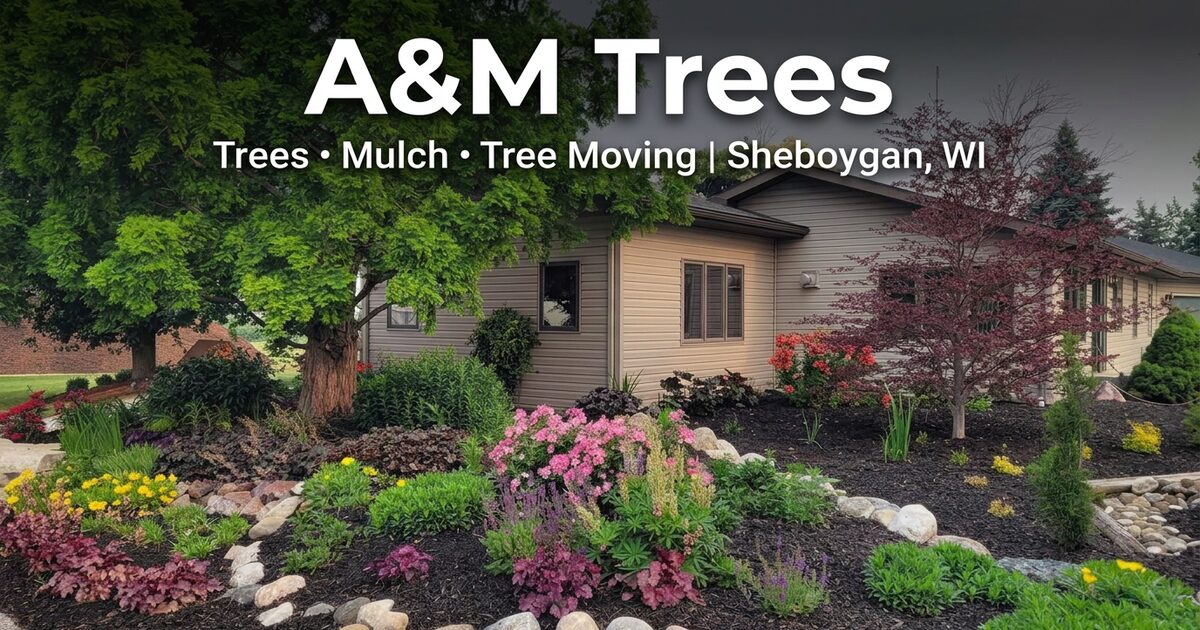 Tree From Am A&M Trees | Trees, Mulch & Tree Moving in Sheboygan, WI