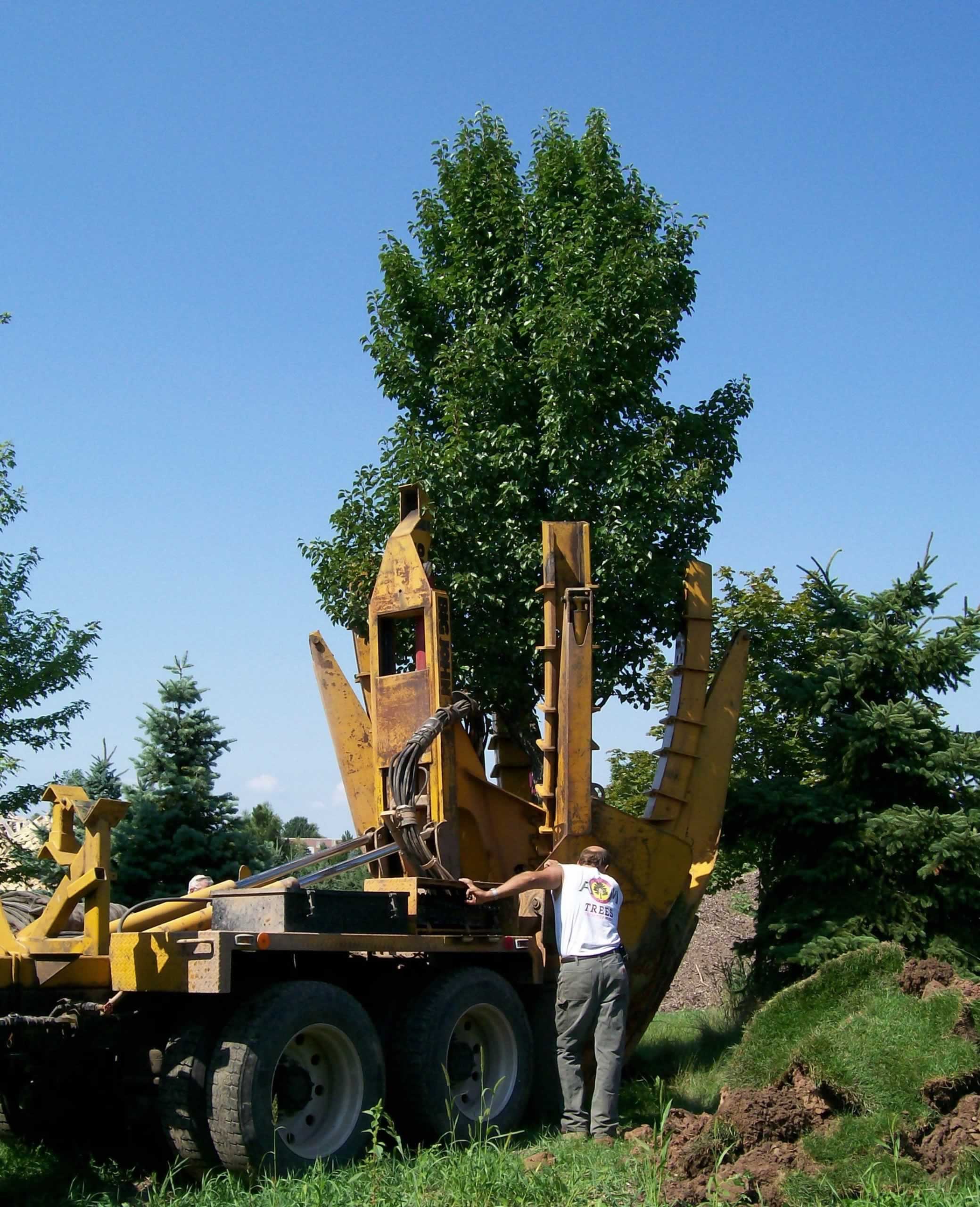 Stove Pellets A&M Trees, LLC, Sheboygan, Wisconsin 53081