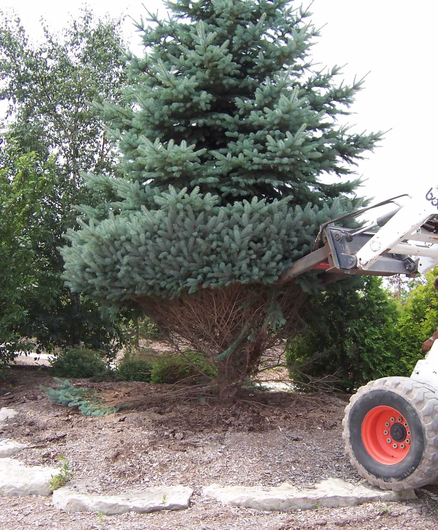 Stove Pellets A&M Trees, LLC, Sheboygan, Wisconsin 53081