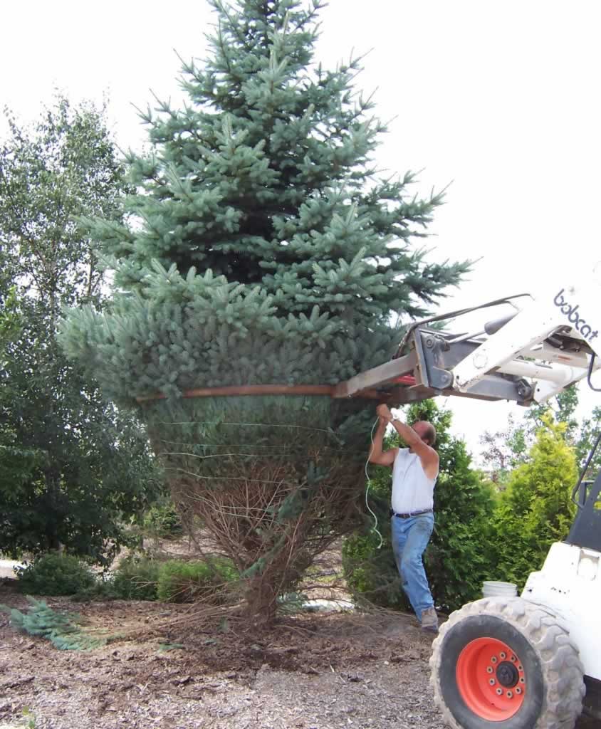 Stove Pellets A&M Trees, LLC, Sheboygan, Wisconsin 53081