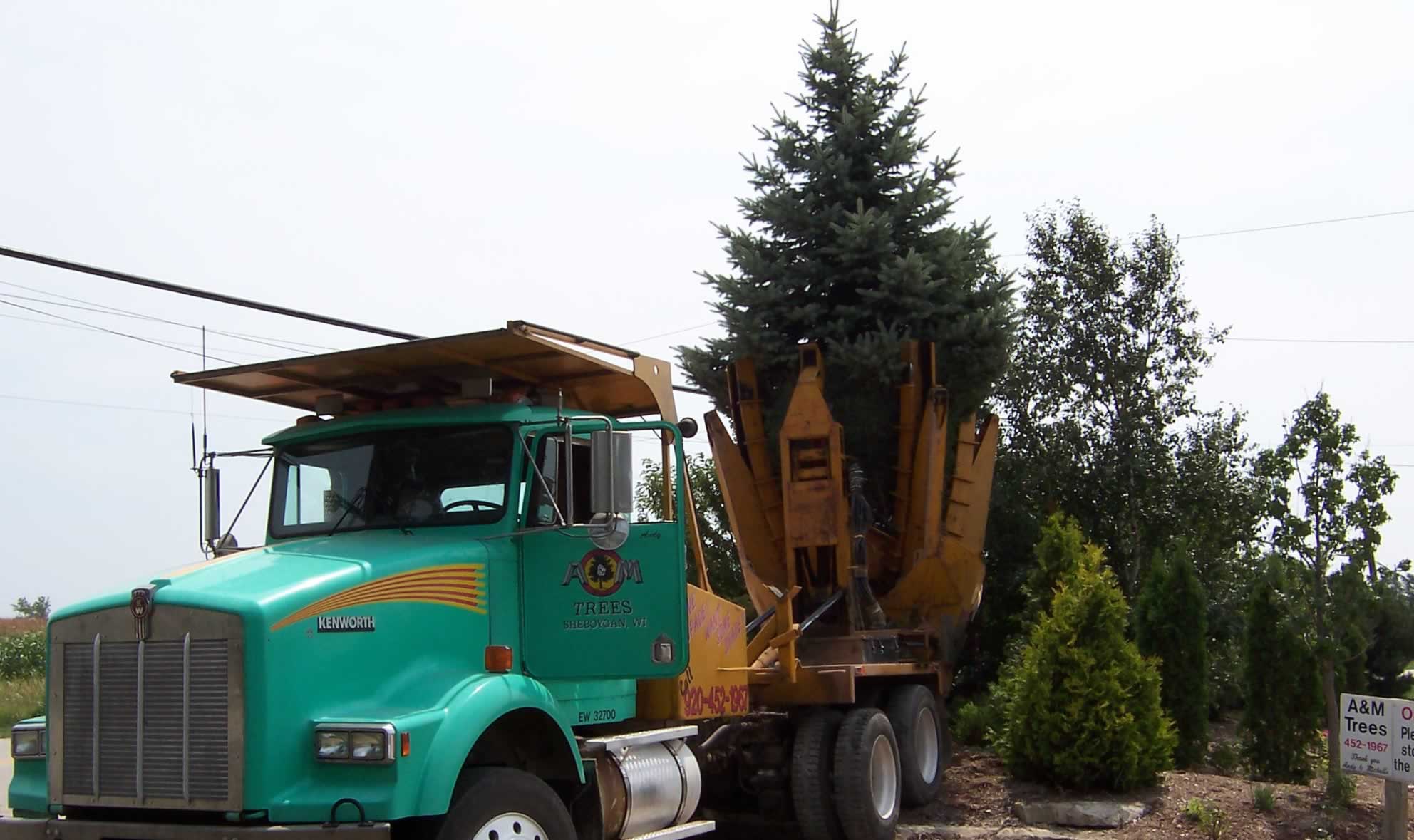 Stove Pellets A&M Trees, LLC, Sheboygan, Wisconsin 53081