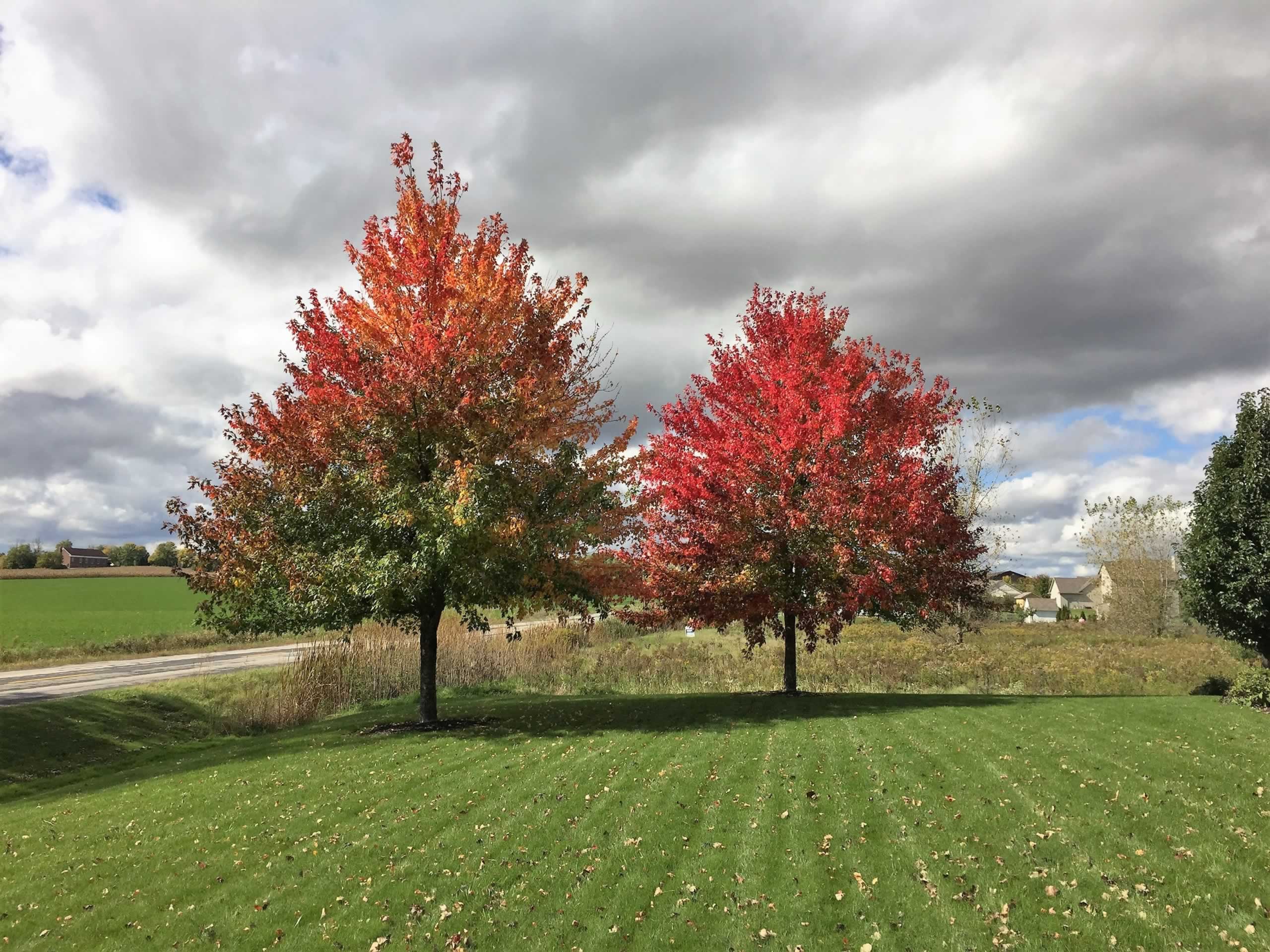 Stove Pellets A&M Trees, LLC, Sheboygan, Wisconsin 53081