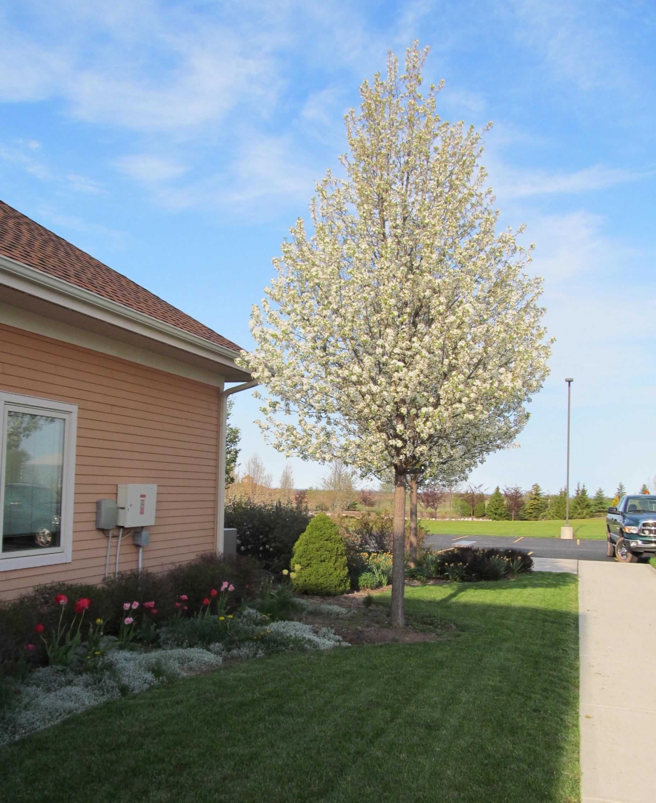 Stove Pellets A&M Trees, LLC, Sheboygan, Wisconsin 53081