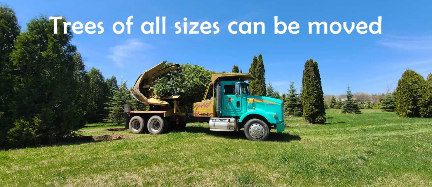 We move trees of all sizes