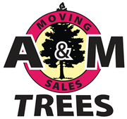 A & M Trees